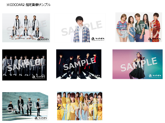 a-nation cocoar2.png