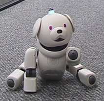 aibo2014.jpg